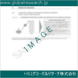 グローバルリサーチ調査資料のイメージ